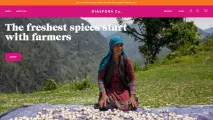 Diaspora Homepage Screenshot